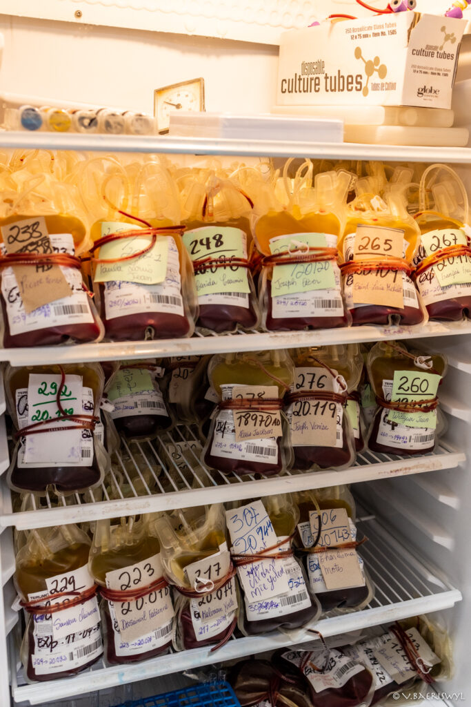 Laborprojekt – Renovation und Aufbau