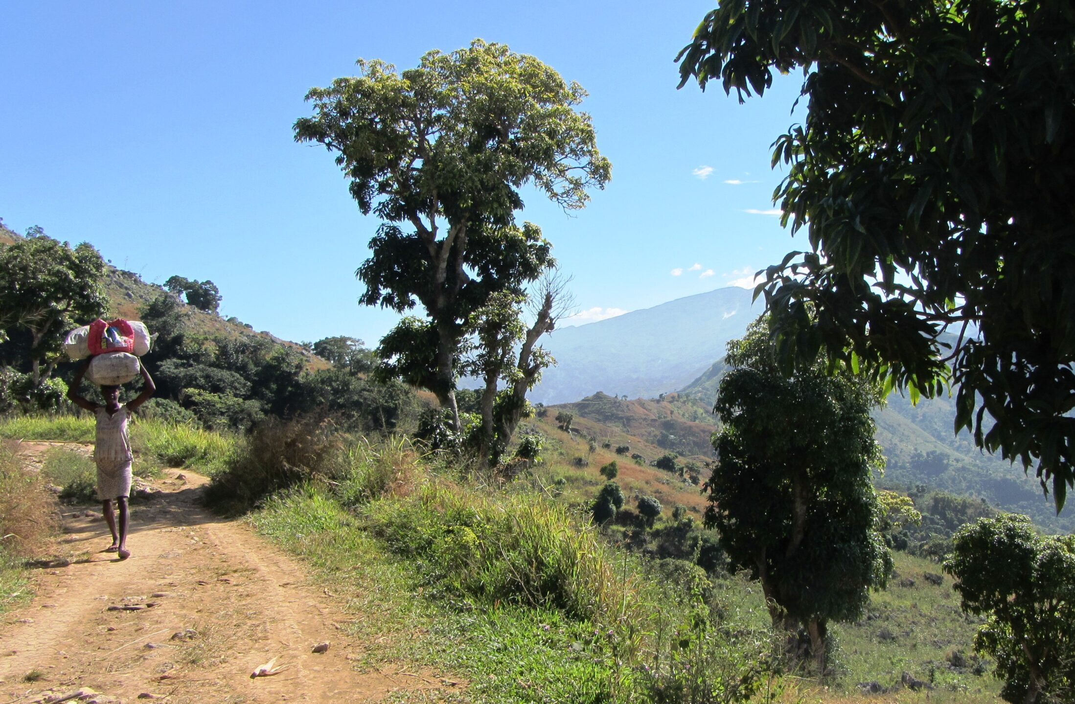 Bericht einer Schwangeren